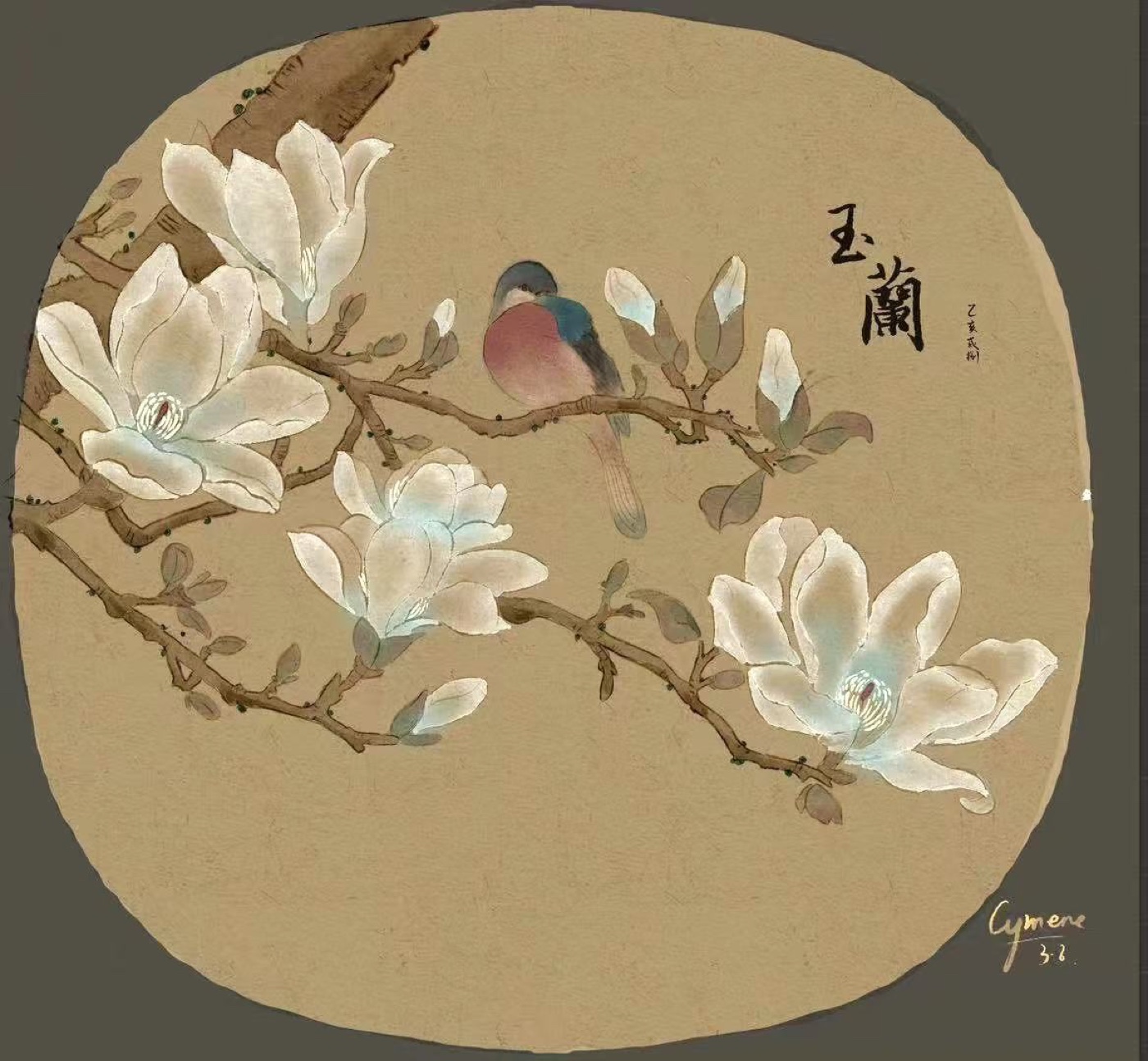 Procreate illustration of magnolia and a bird